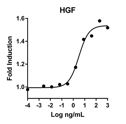 Humankine Recombinant Human HGF 1000ug