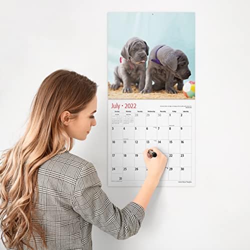 ЦРВЕНО EMBER Голема Dane Puppies 2022 Hangable Ѕид Calendar - 12 x 24 Отвори - Дебел & Здрав Хартија - Giftable - Симпатична Куче