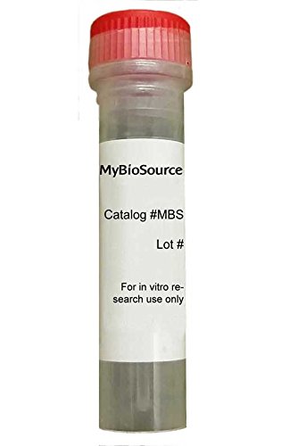 Recombinant Saccharomyces cerevisiae Pyrroline-5-carboxylate reductase (PRO3) (Recombinant Протеини)